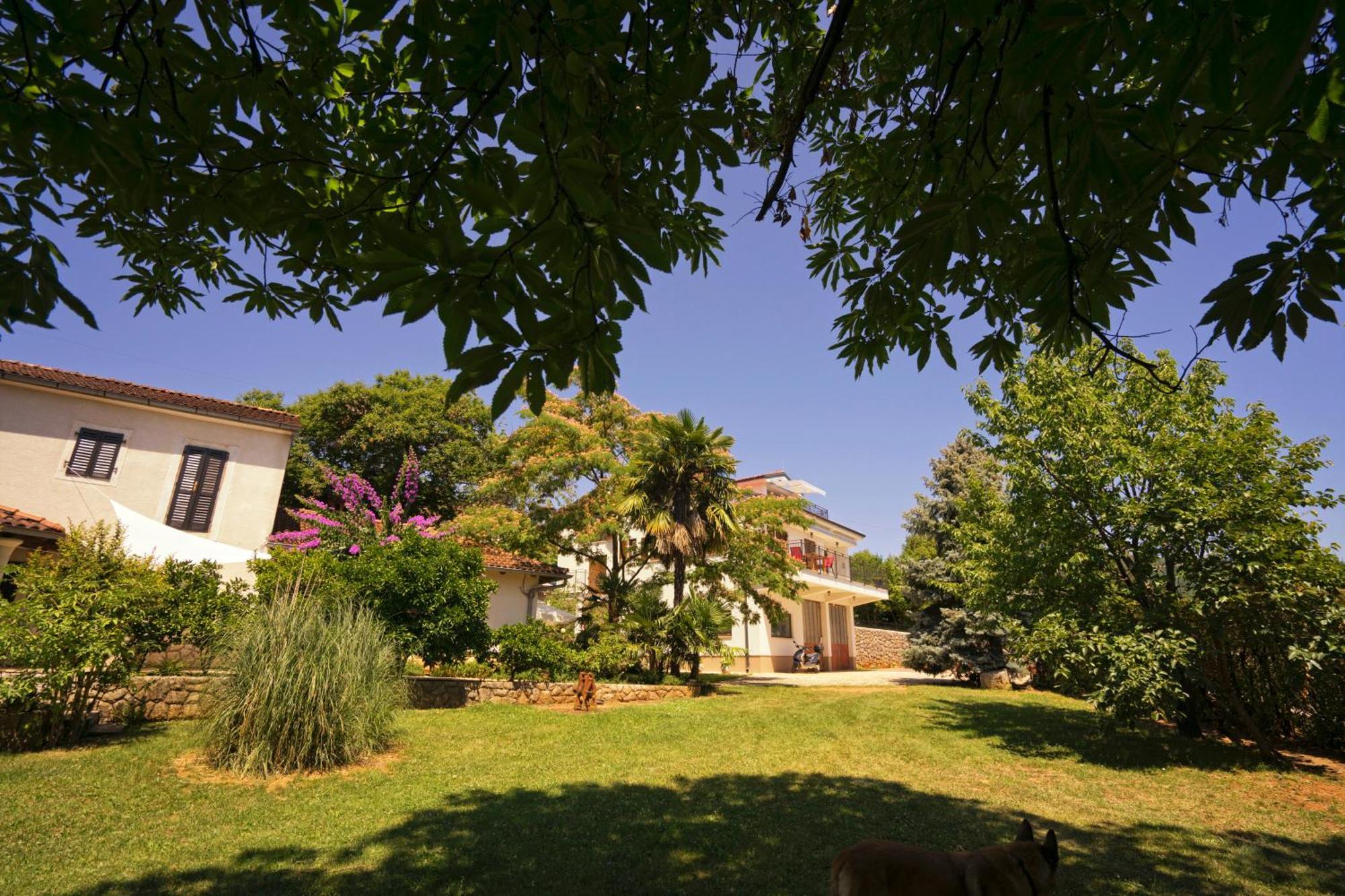 Riviera Blue Apartments With Seaview, Private Whirlpools And Parking Near Opatija Opric Eksteriør billede